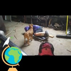 Meet your Posher, Jerron